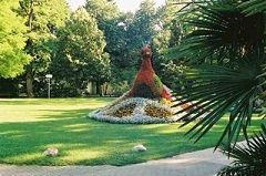 Blumenpfau in Bad Krozingen